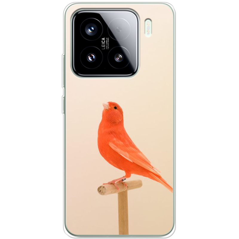 Чохол BoxFace Xiaomi 15 