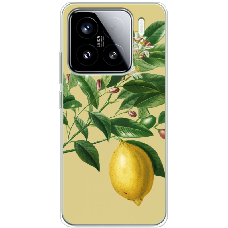 Чохол BoxFace Xiaomi 15 