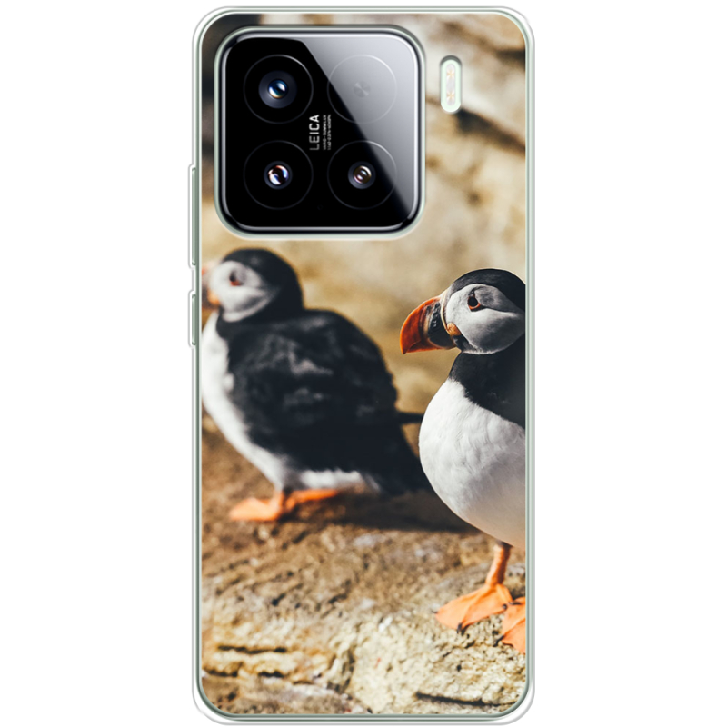 Чохол BoxFace Xiaomi 15 