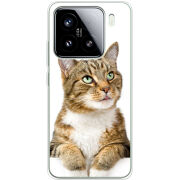 Чохол BoxFace Xiaomi 15 