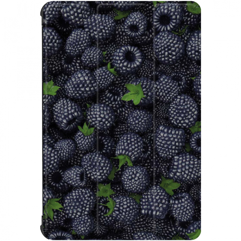 Чохол для Samsung Galaxy Tab S10 FE Ожина
