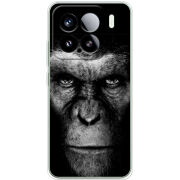 Чохол BoxFace Xiaomi 15 