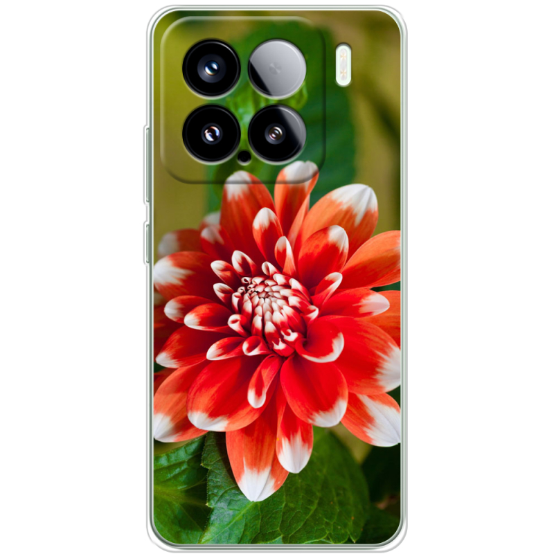 Чохол BoxFace Xiaomi 15 