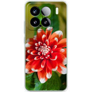 Чохол BoxFace Xiaomi 15 