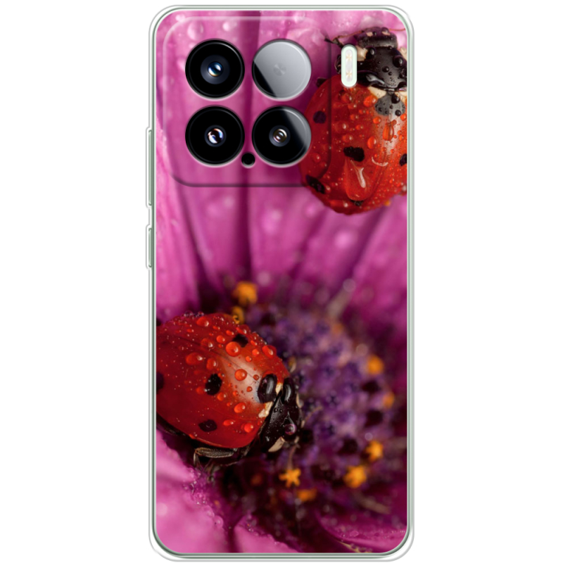 Чохол BoxFace Xiaomi 15 