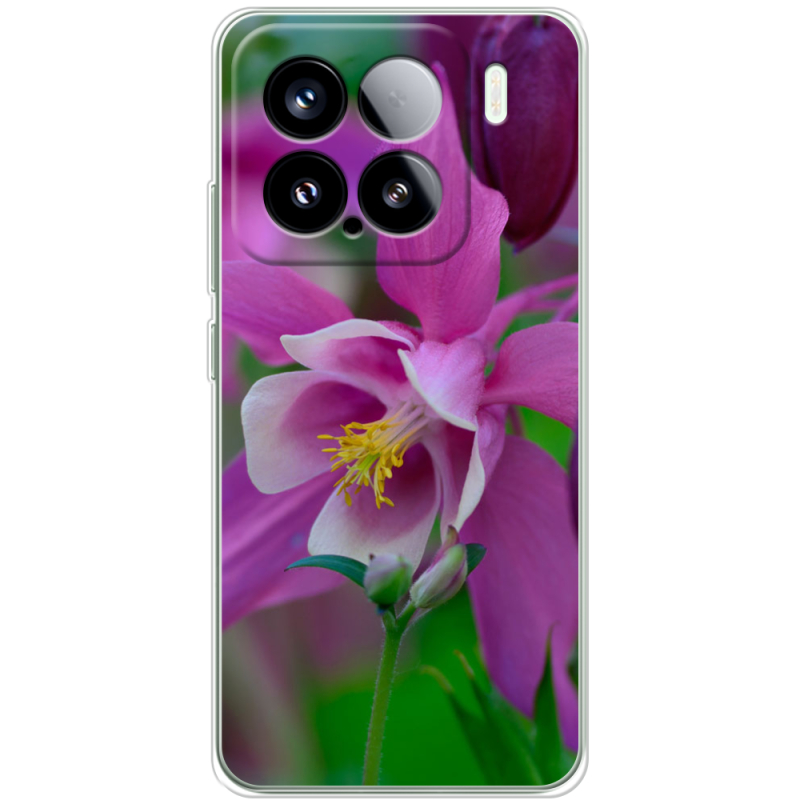 Чохол BoxFace Xiaomi 15 