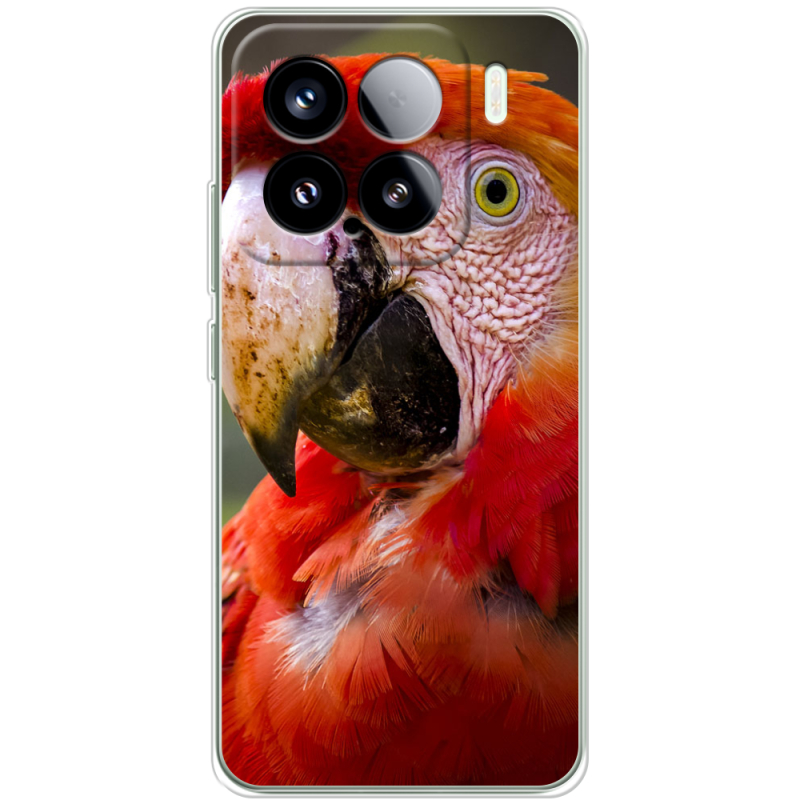 Чохол BoxFace Xiaomi 15 