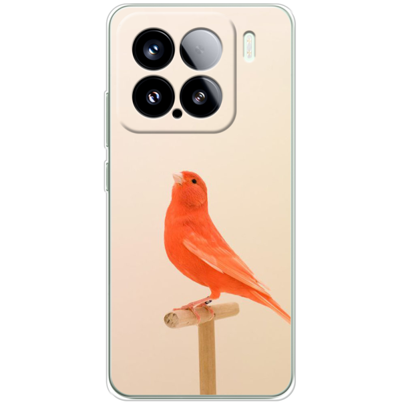 Чохол BoxFace Xiaomi 15 