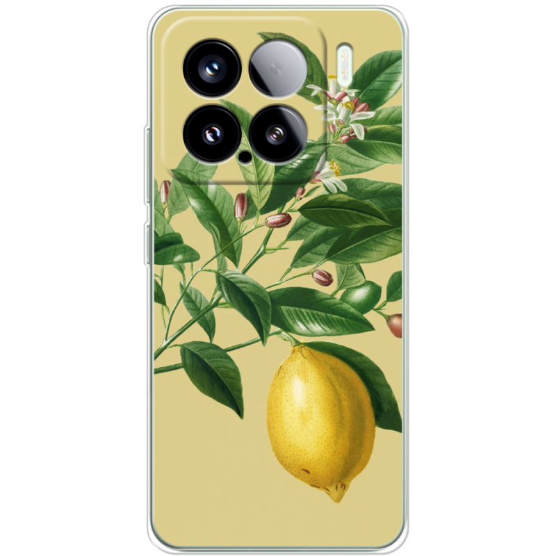 Чохол BoxFace Xiaomi 15 