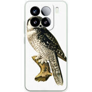 Чохол BoxFace Xiaomi 15 