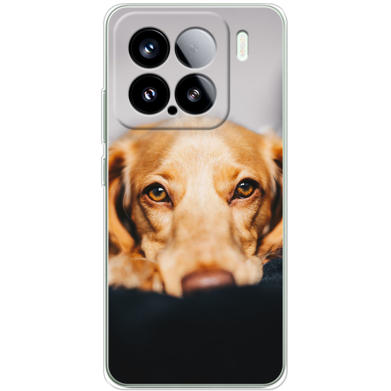 Чохол BoxFace Xiaomi 15 