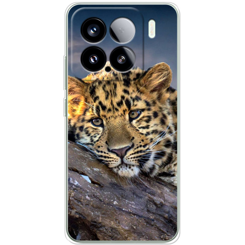 Чохол BoxFace Xiaomi 15 