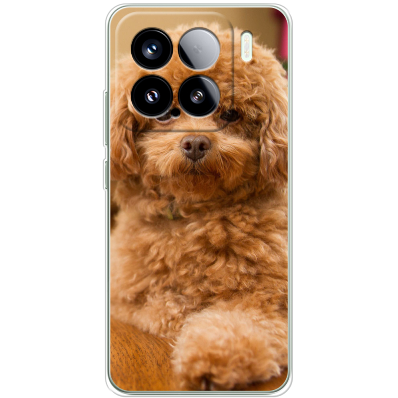 Чохол BoxFace Xiaomi 15 