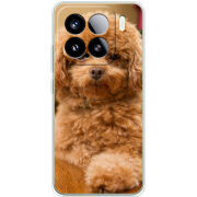 Чохол BoxFace Xiaomi 15 