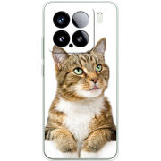 Чохол BoxFace Xiaomi 15 