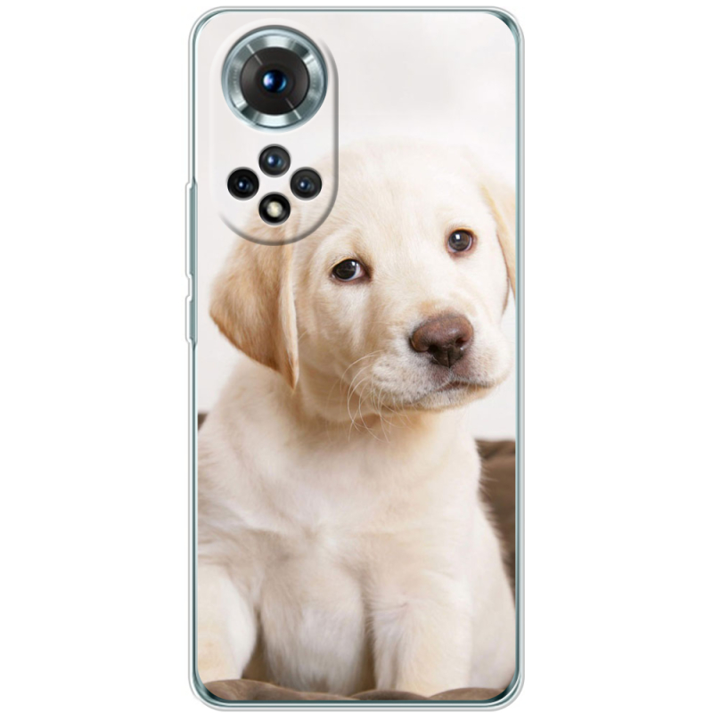 Чохол BoxFace Honor 50 Puppy Labrador