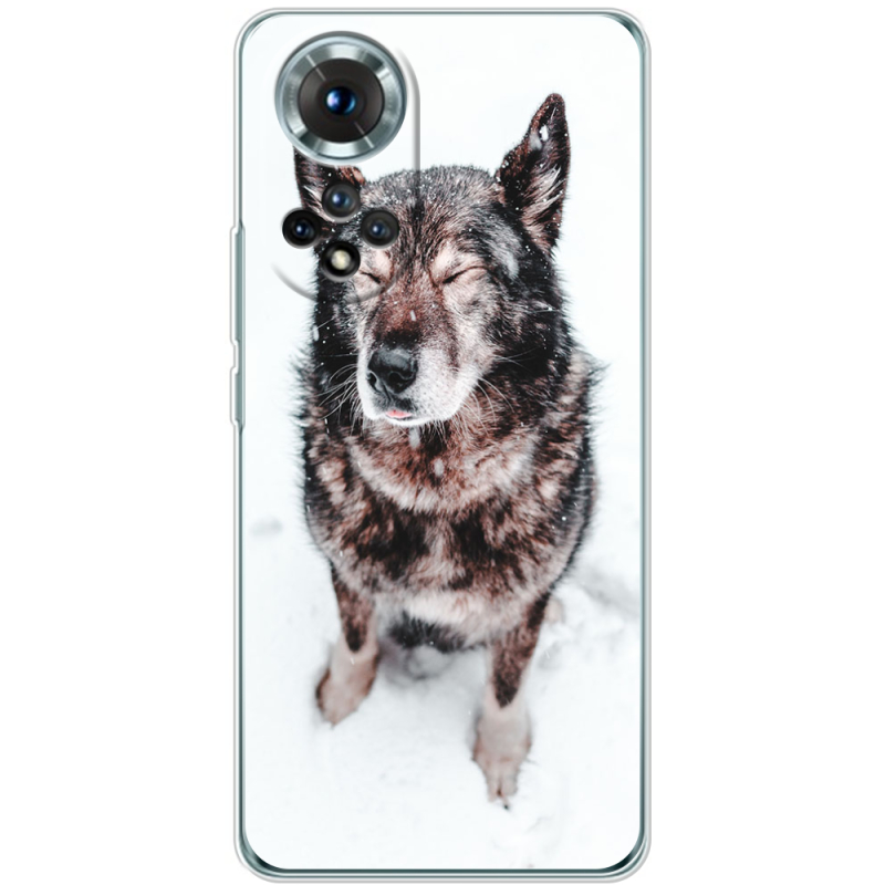 Чохол BoxFace Honor 50 