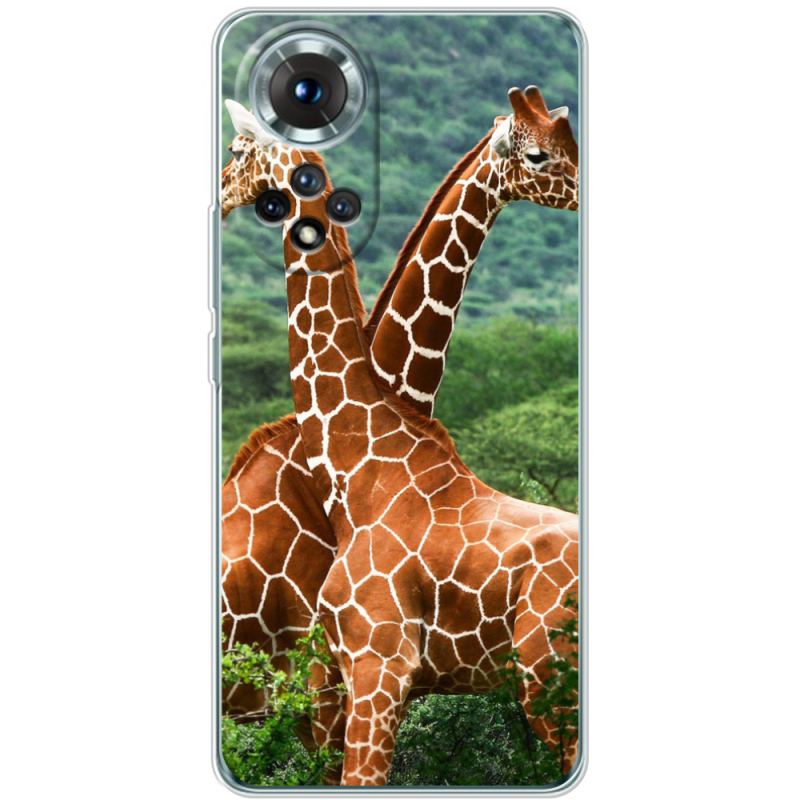 Чохол BoxFace Honor 50 