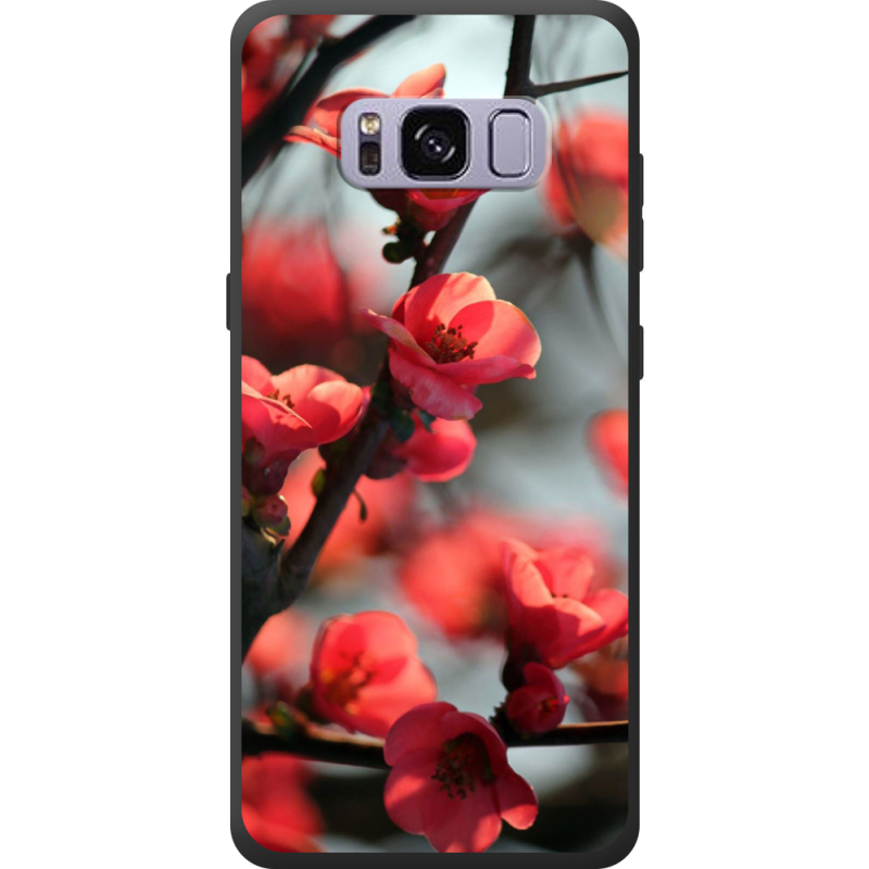 Чехол Uprint Samsung G950 Galaxy S8 Awakening Spring