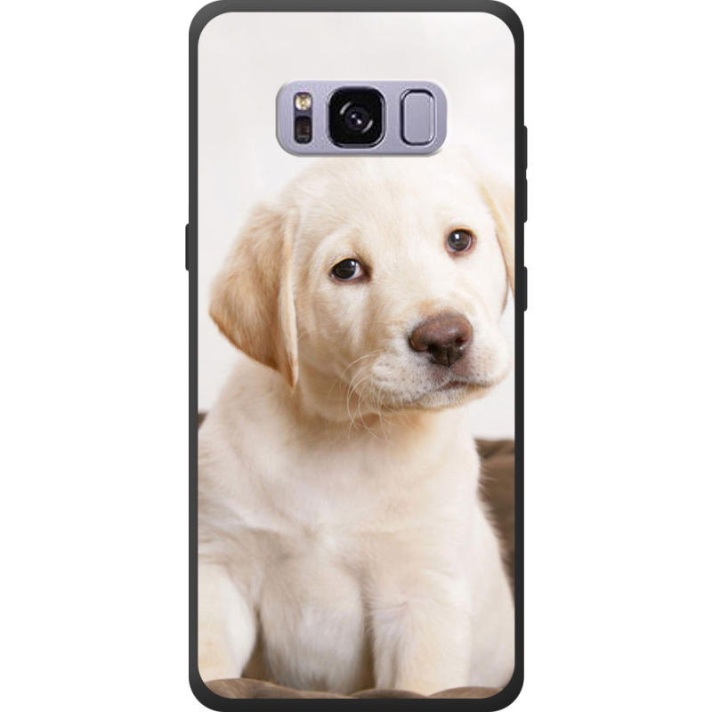 Чехол Uprint Samsung G950 Galaxy S8 Puppy Labrador