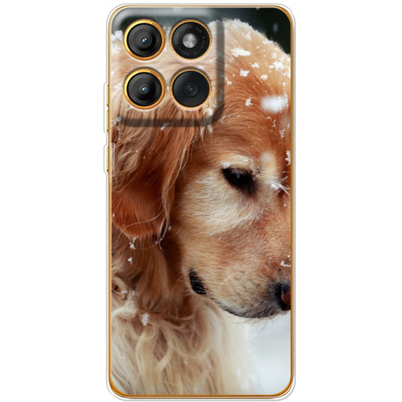 Чохол BoxFace Moto Edge 60 Golden Retriever
