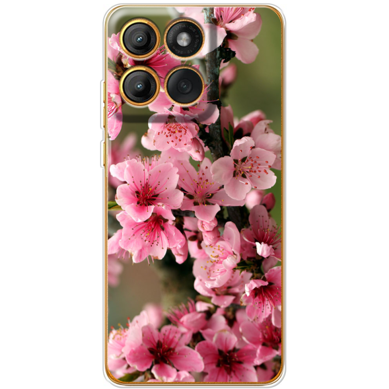 Чохол BoxFace Moto Edge 60 Pro Вишневые Цветы