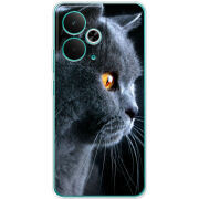 Чохол BoxFace Realme 14T English cat