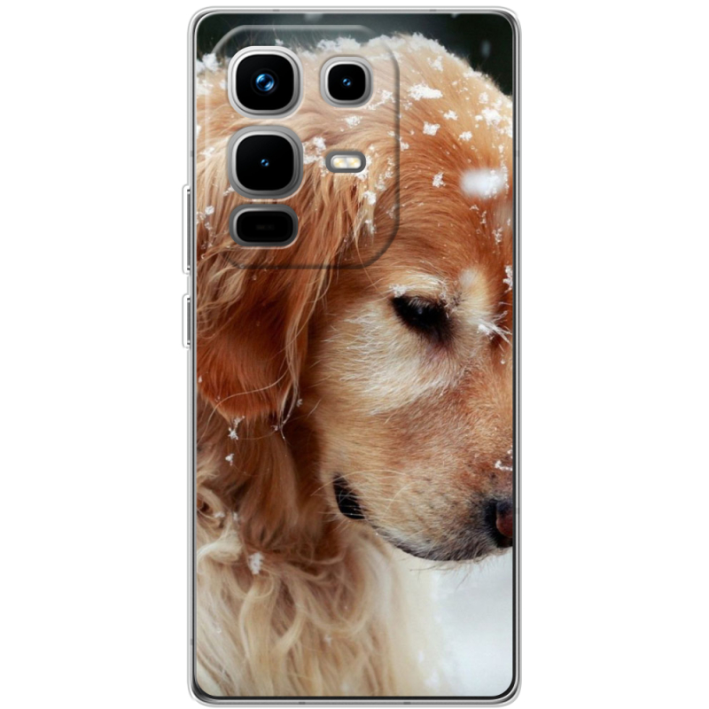 Чохол BoxFace Infinix Note 50 Pro Plus Golden Retriever