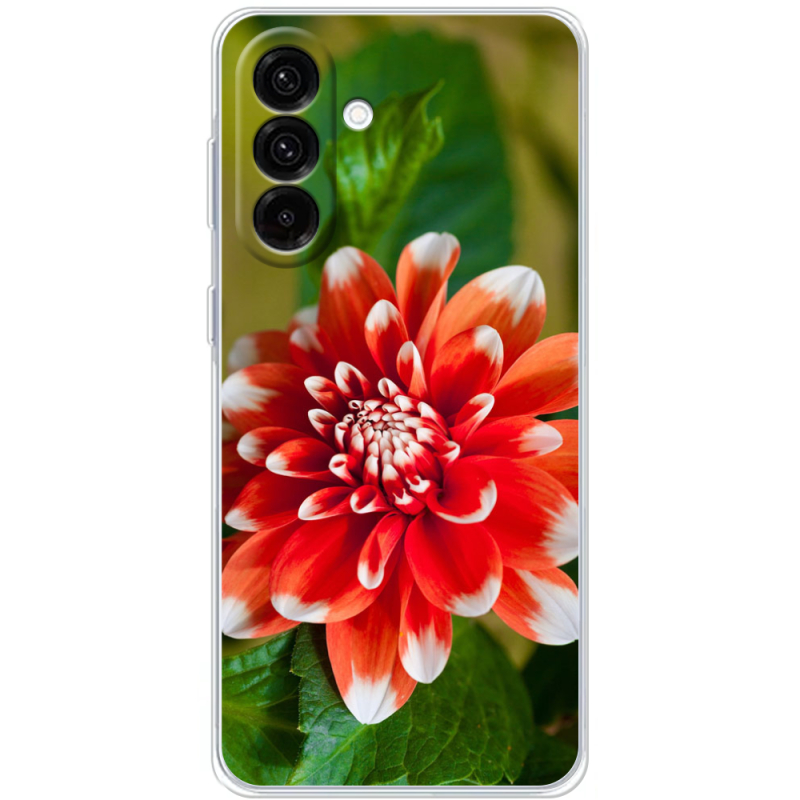 Чохол BoxFace Samsung Galaxy A17 (A175) 