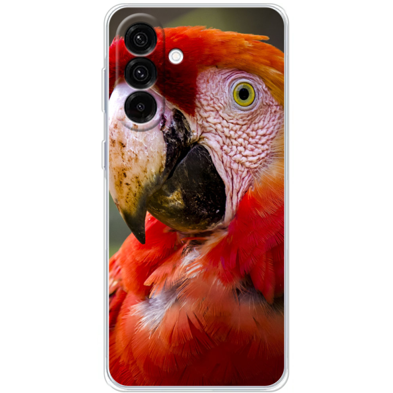 Чохол BoxFace Samsung Galaxy A17 (A175) 