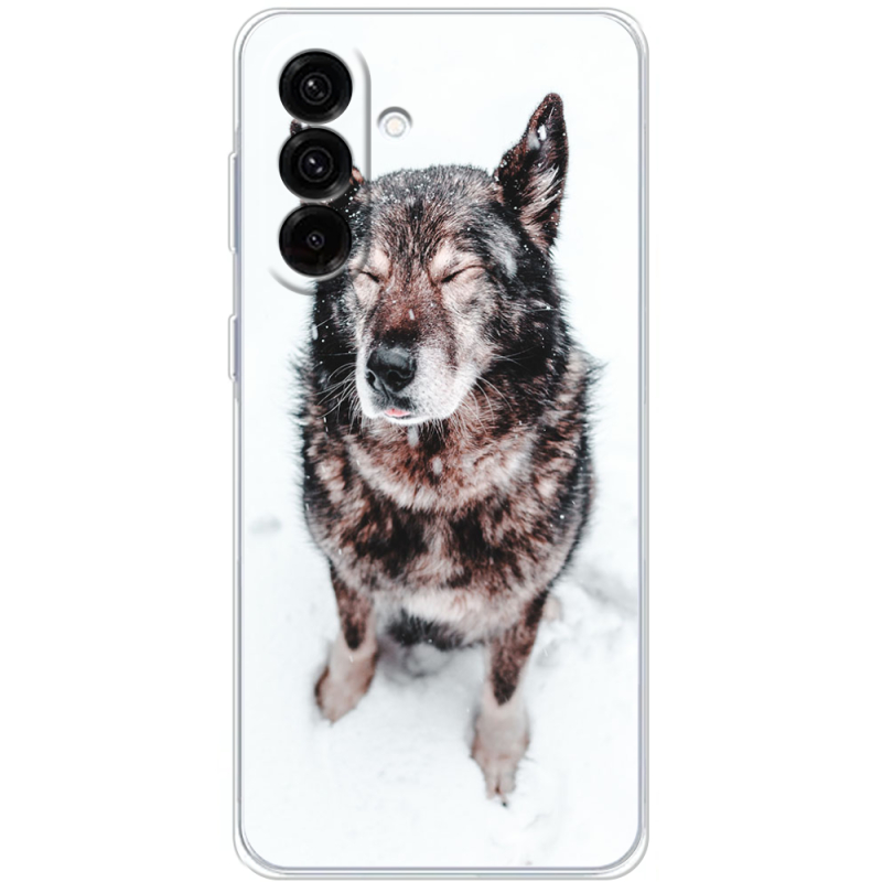 Чохол BoxFace Samsung Galaxy A17 (A175) 