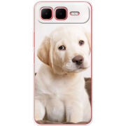 Чохол BoxFace Infinix Smart 10 Plus Puppy Labrador