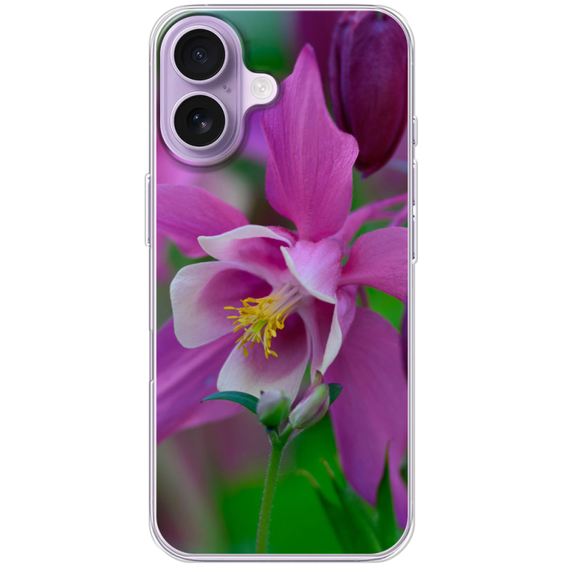 Чохол BoxFace Apple iPhone 17 