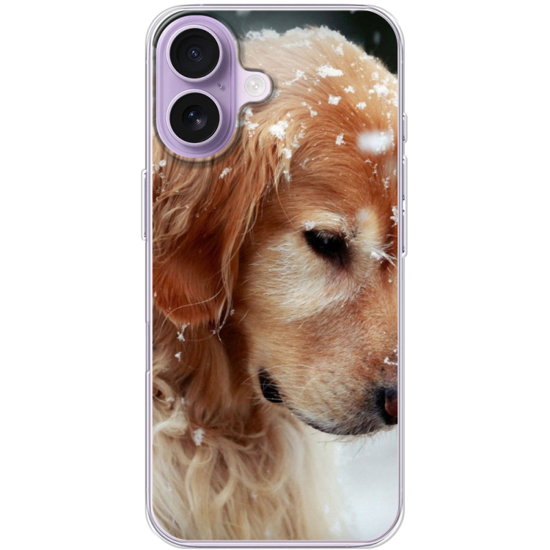 Чохол BoxFace Apple iPhone 17 Golden Retriever