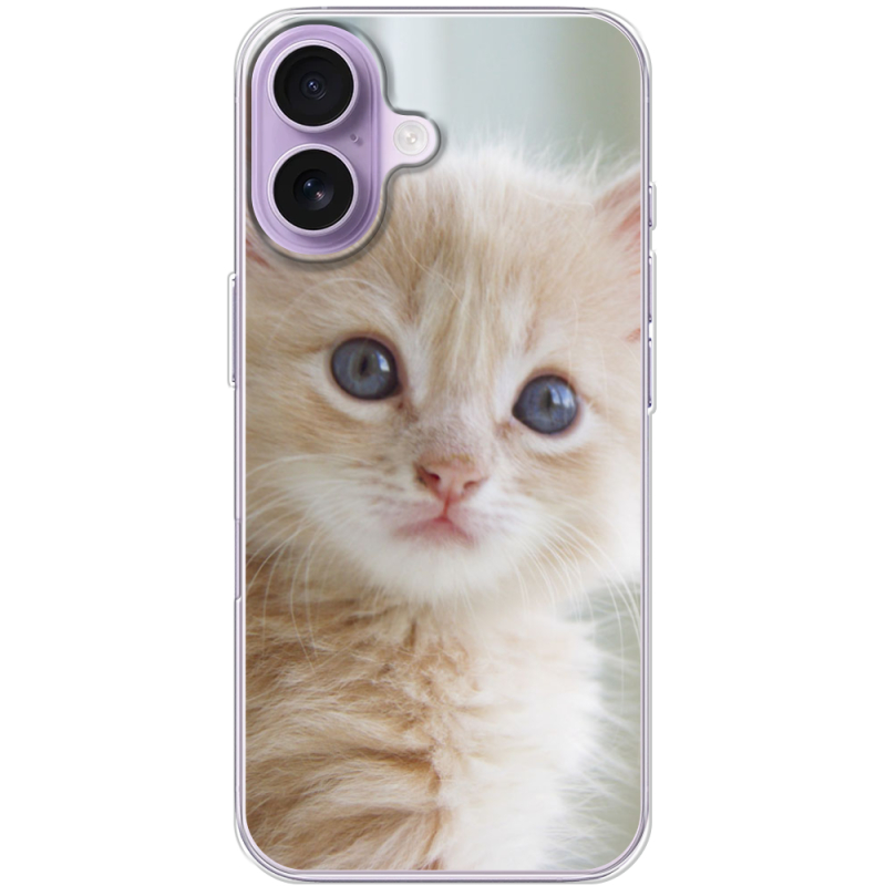 Чохол BoxFace Apple iPhone 17 Animation Kittens