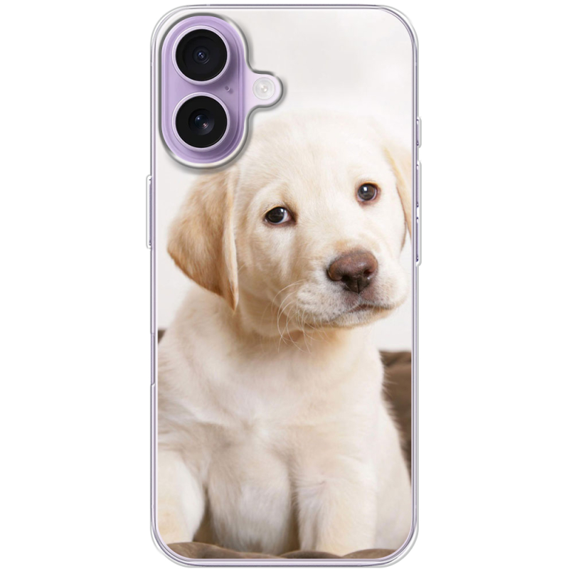 Чохол BoxFace Apple iPhone 17 Puppy Labrador
