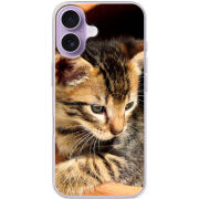 Чохол BoxFace Apple iPhone 17 