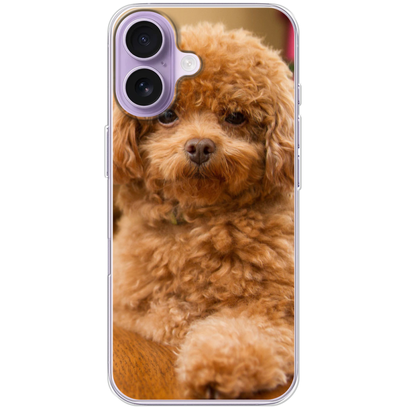 Чохол BoxFace Apple iPhone 17 