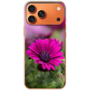 Чохол BoxFace Apple iPhone 17 Pro Max 