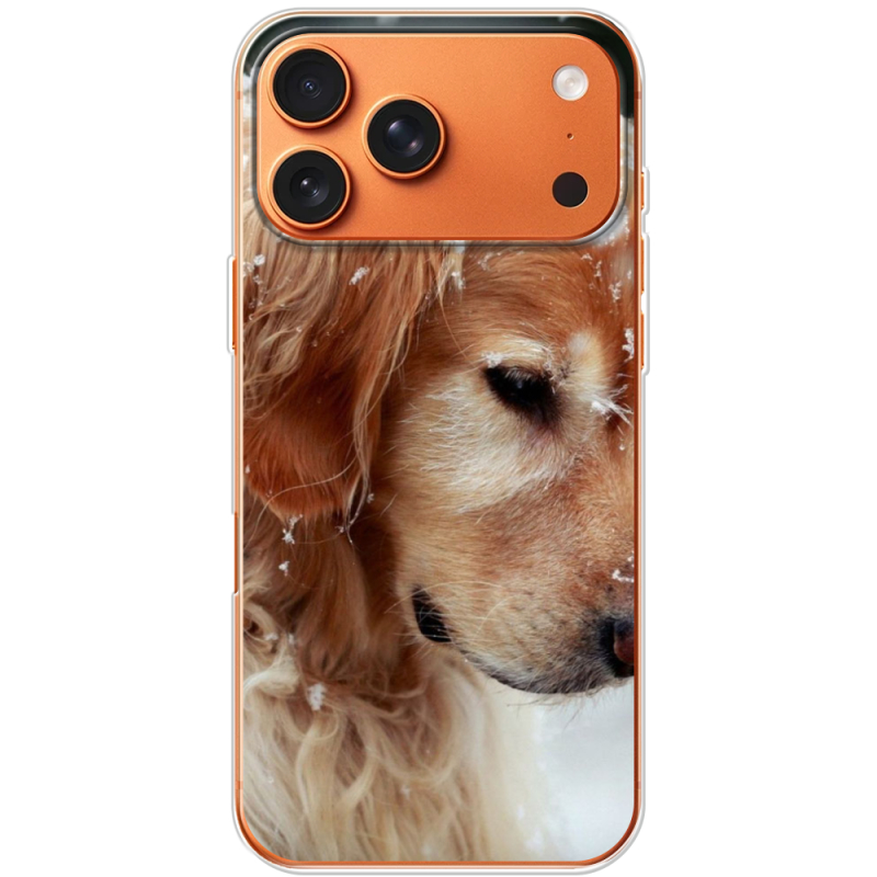 Чохол BoxFace Apple iPhone 17 Pro Max Golden Retriever