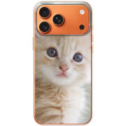 Чохол BoxFace Apple iPhone 17 Pro Max Animation Kittens