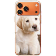 Чохол BoxFace Apple iPhone 17 Pro Max Puppy Labrador