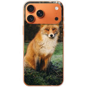 Чохол BoxFace Apple iPhone 17 Pro Max 
