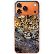 Чохол BoxFace Apple iPhone 17 Pro Max 