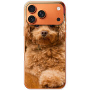 Чохол BoxFace Apple iPhone 17 Pro Max 