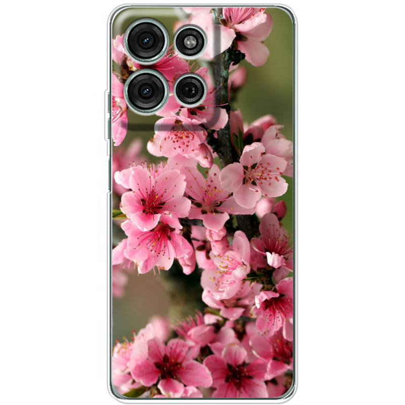 Чохол BoxFace Motorola Moto G56 Вишневые Цветы