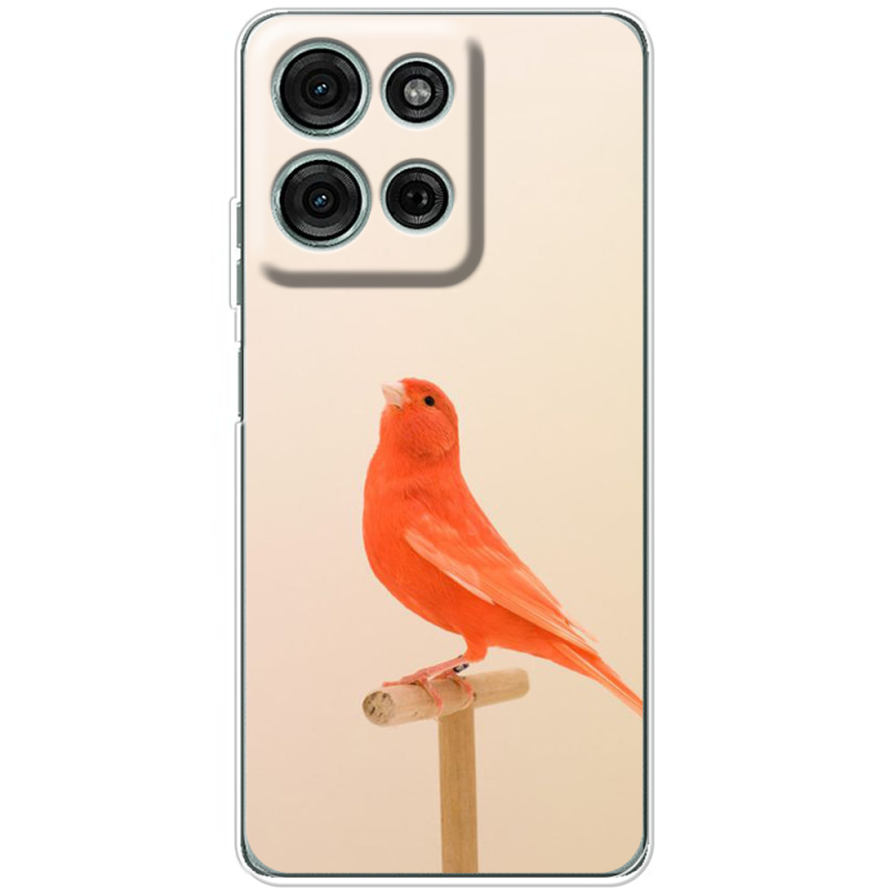 Чохол BoxFace Motorola Moto G56 