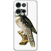 Чохол BoxFace Motorola Moto G56 