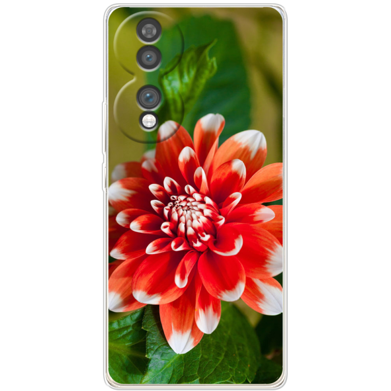 Чохол BoxFace Honor 70 