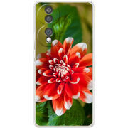 Чохол BoxFace Honor 70 